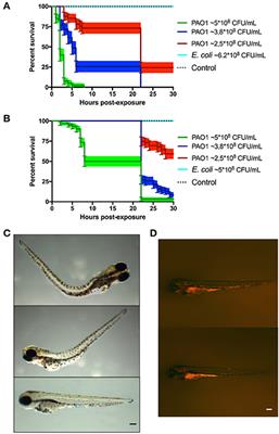 In vivo Host-Pathogen Interaction as Revealed by Global Proteomic Profiling of Zebrafish Larvae